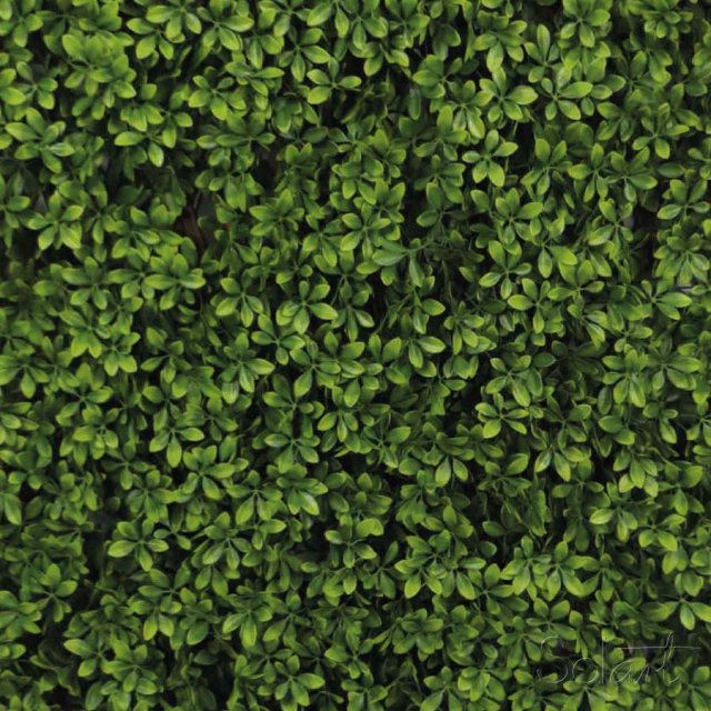 Barda Expandible Bonetero del Japón Solart