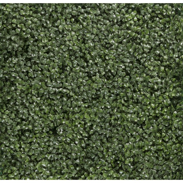 Arrayán Natural Solart