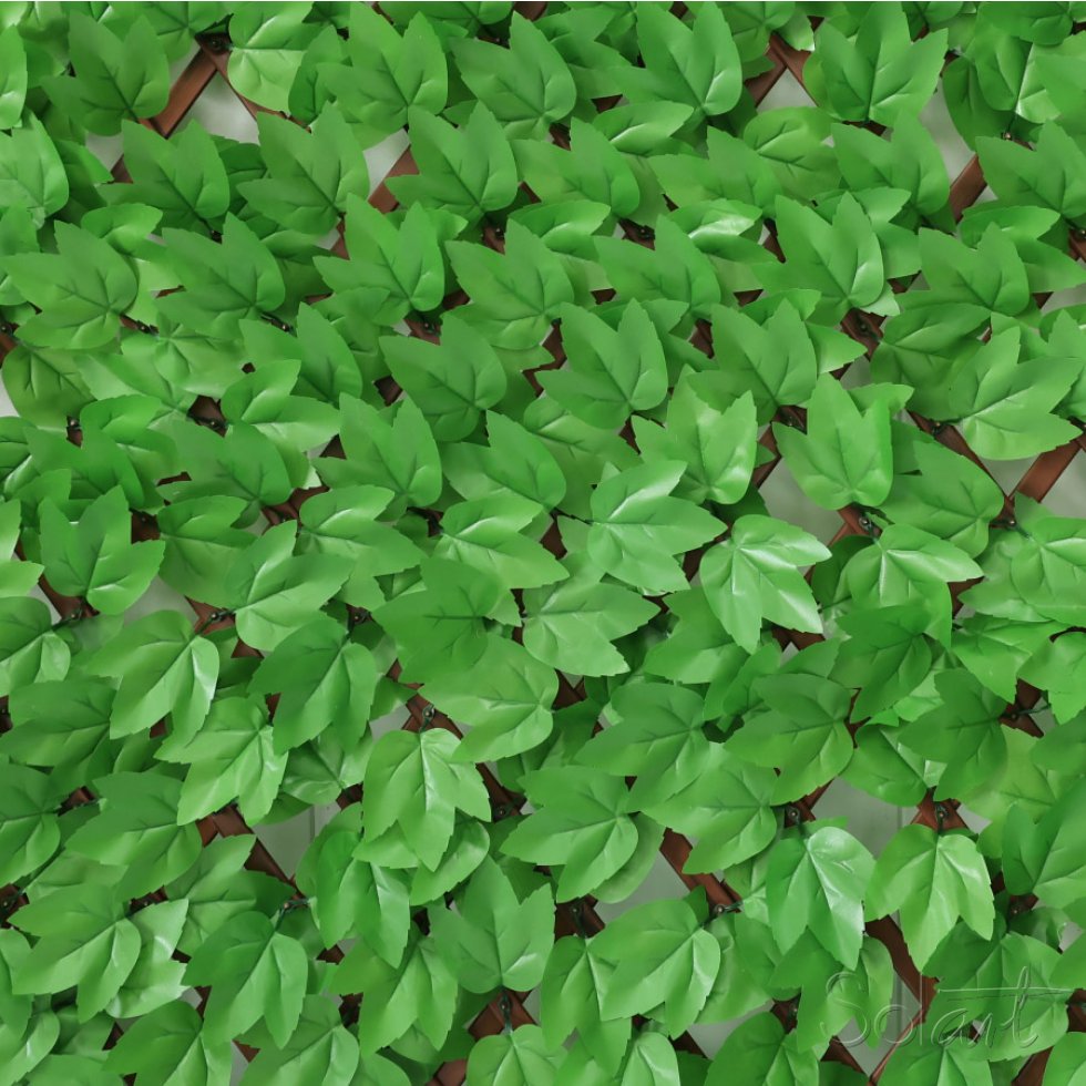 Barda Expandible Parra Clara 