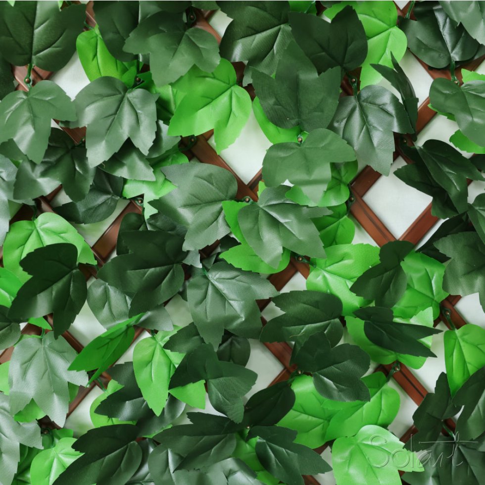 Barda Expandible Hiedra Bicolor 